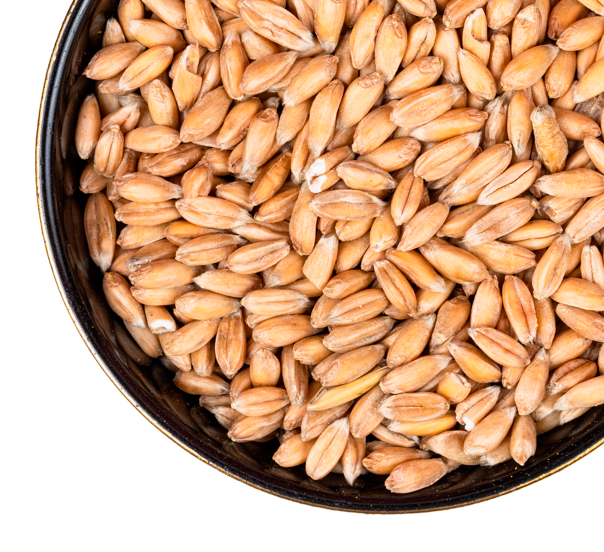 barley
