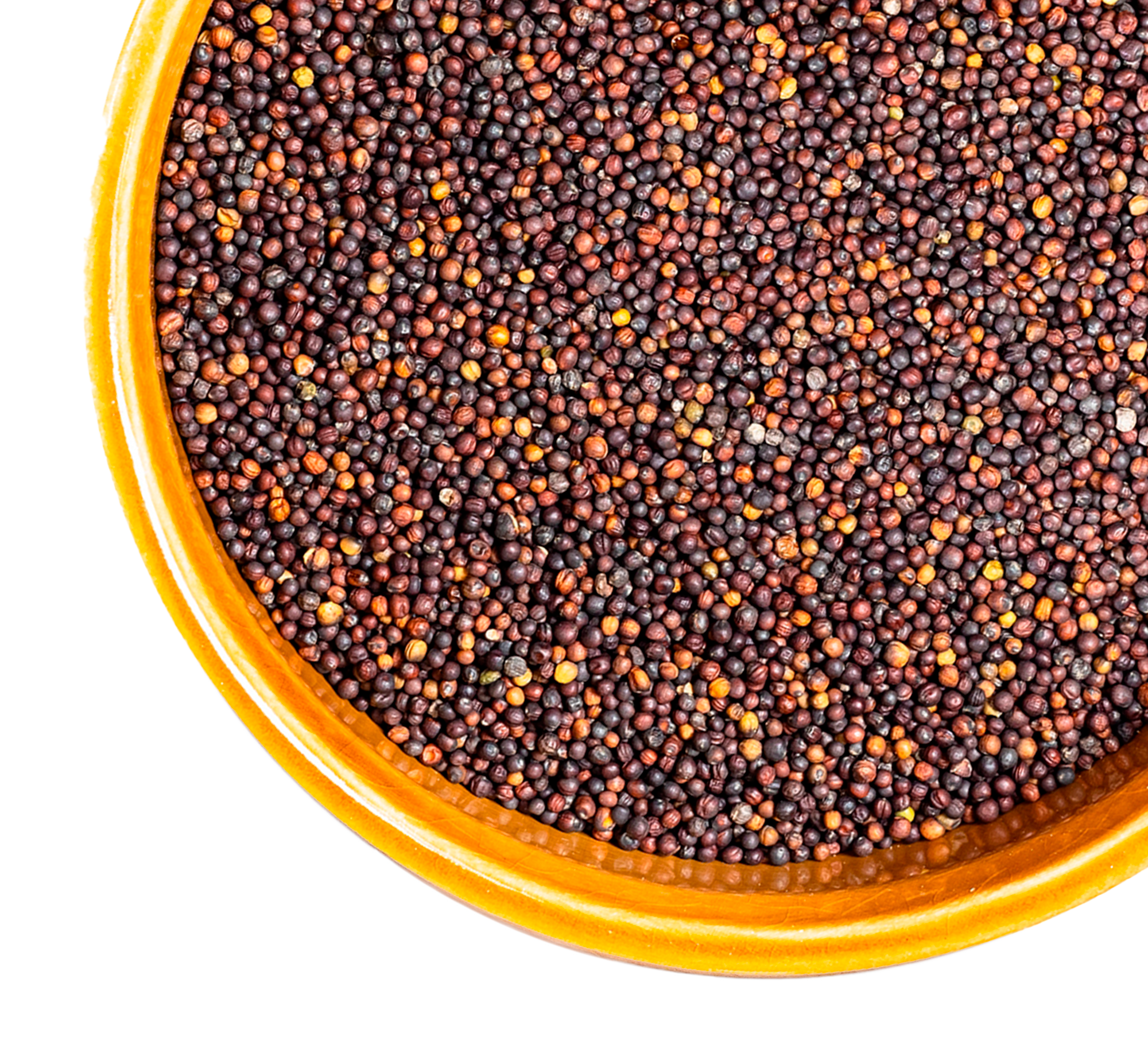 rapeseed