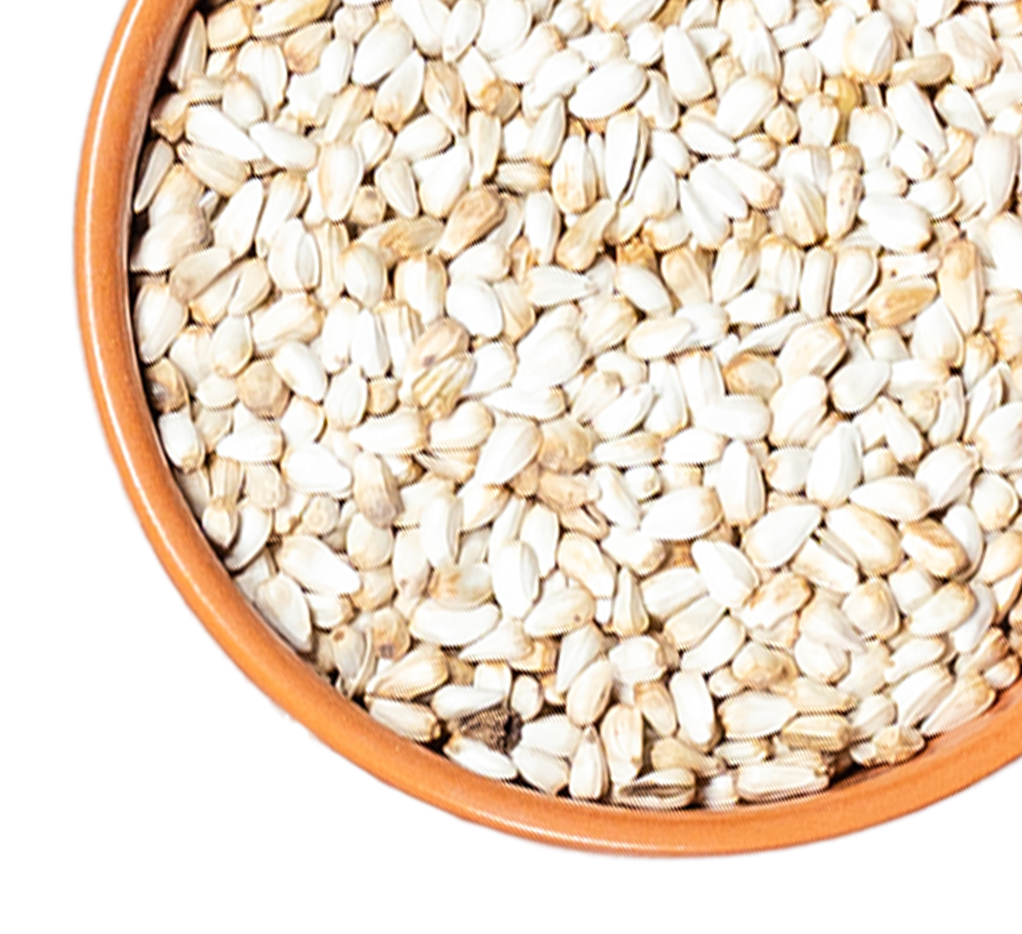 safflower