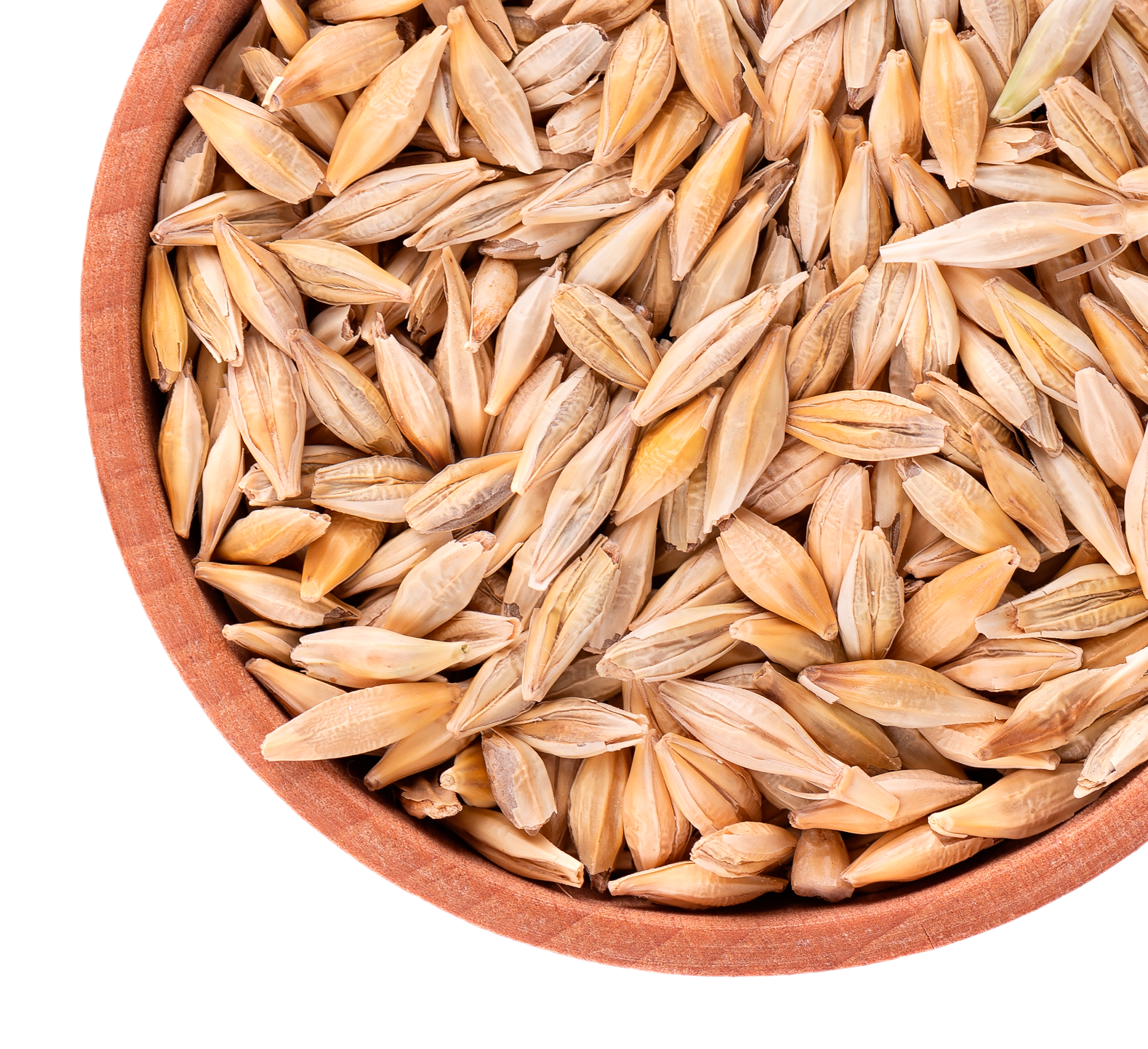 wheat