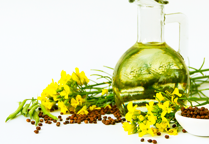 rapeseed