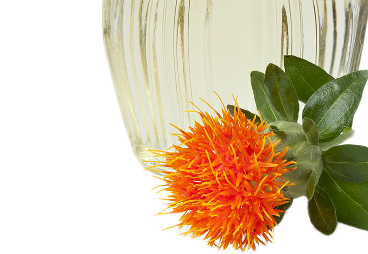 safflower